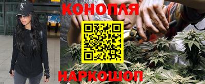 эйфоретик Донской